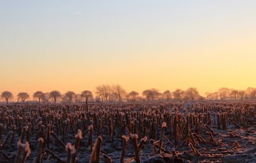 sunrise winter sun