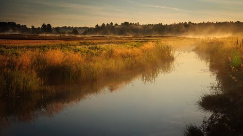 sunrise morning foggy