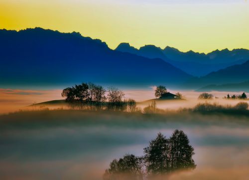 sunrise fog silhouettes