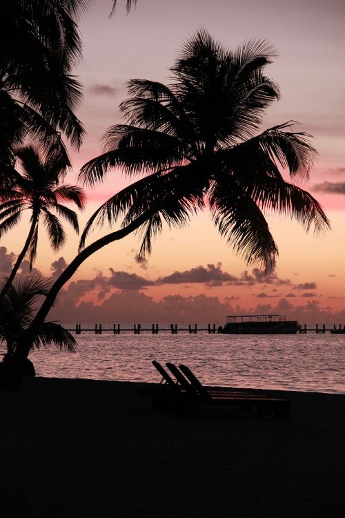 sunrise morgenrot florida keys