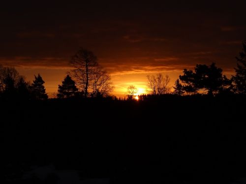 sunrise nature morgenstimmung