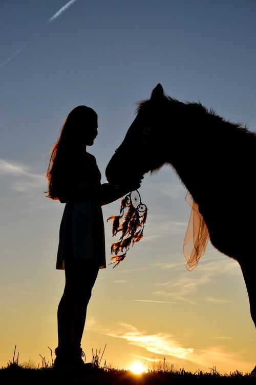 sunrise silhouette horse