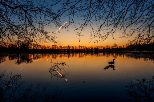 sunrise lake sun