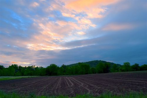 sunrise farmland nature