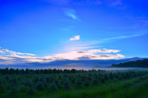 sunrise field mist