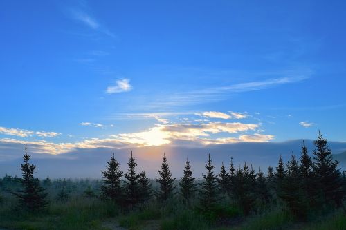 sunrise field mist