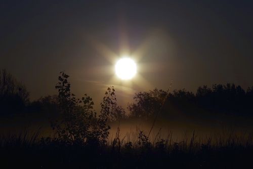 sunrise the rays the sun