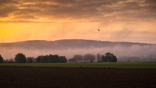 sunrise landscape morning light