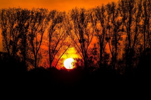 sunrise landscape morning light