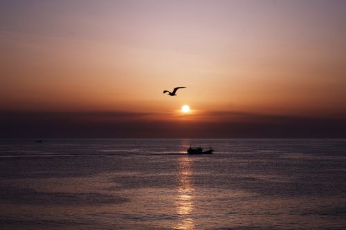 sunrise sunrising sea