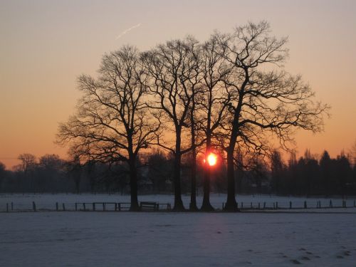 sunrise winter landscape snow