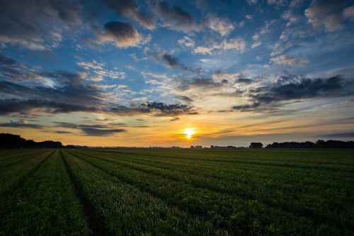 sunrise field fields