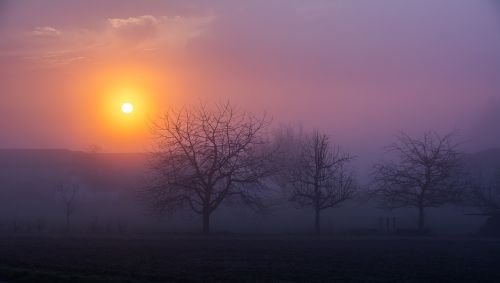 sunrise morning fog