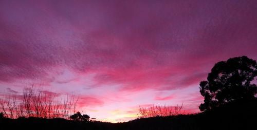 sunrise clouds purple