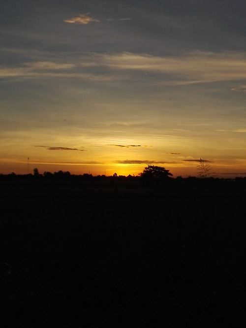sunrise cornfield mead