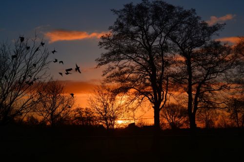 sunrise morgenrot skies