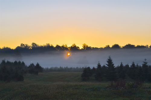 sunrise mist field