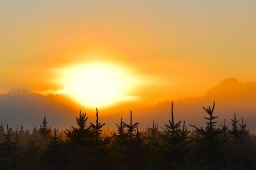 sunrise mist field