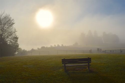 sunrise fog field