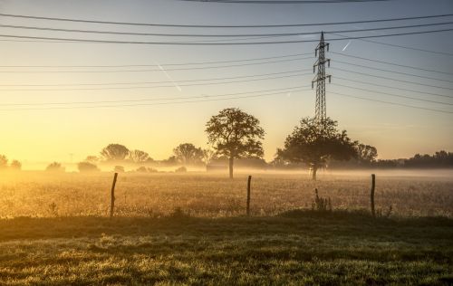 sunrise sun fog