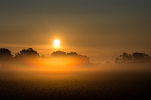 sunrise fog field