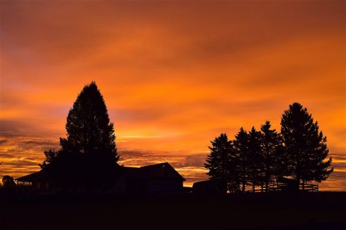 sunrise sky silhouette