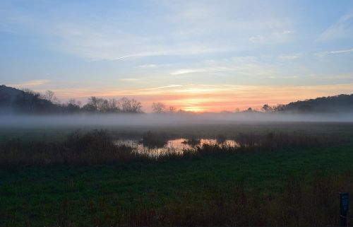 sunrise field mist
