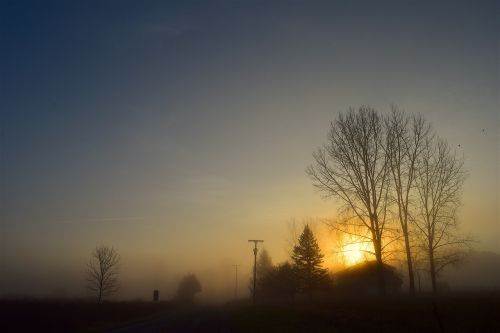 sunrise fog trees