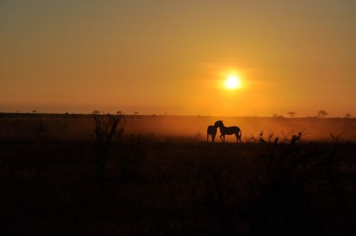 sunrise dawn sun