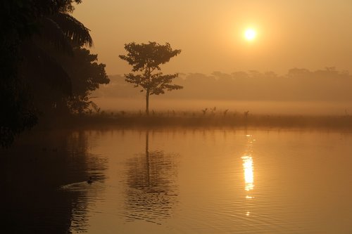 sunrise  dawn  water