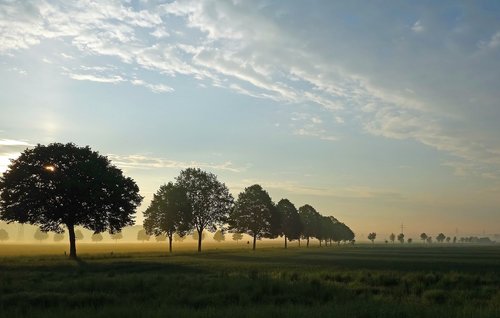 sunrise  panorama  tree