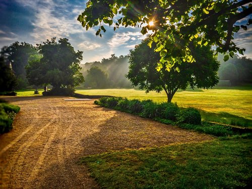 sunrise  tree  scene