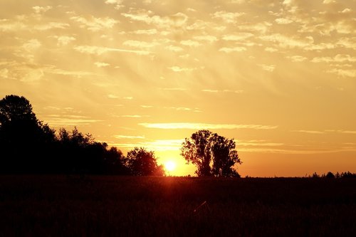 sunrise  dawn  landscape