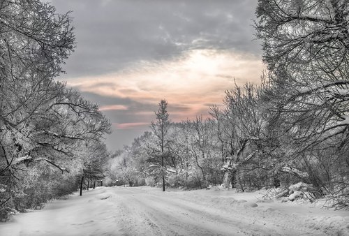 sunrise  landscape  snow