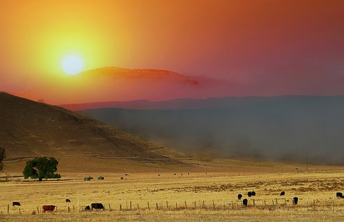 sunrise  mist  landscape