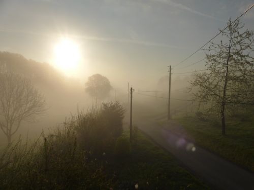 sunrise fog morning