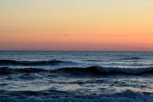 sunrise  ocean  sea