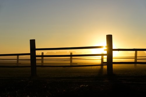 sunrise  fog  fence