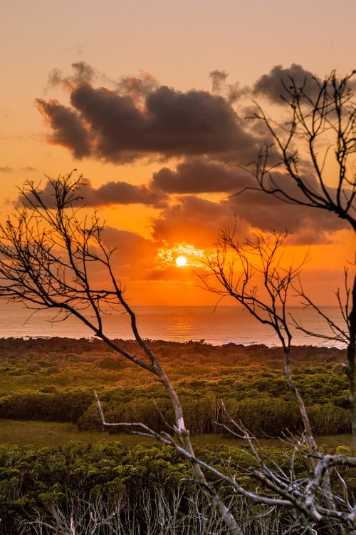 sunrise  landscape  nature