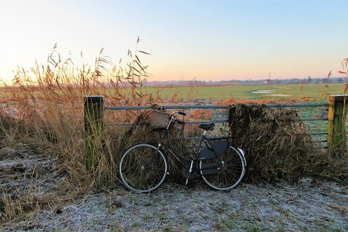 sunrise  bicycle  grandma's bike