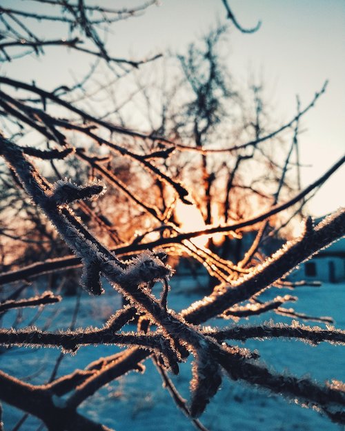 sunrise  winter  frost