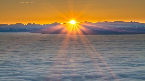 sunrise  sea of fog  alpine