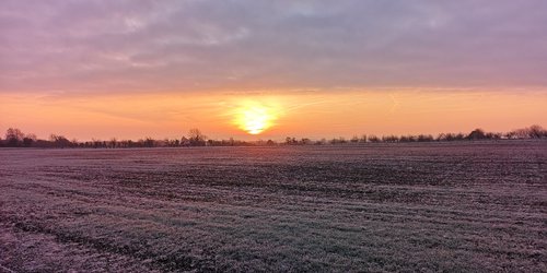 sunrise  frost  countryside