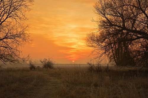 sunrise  morgenrot  morgenstimmung