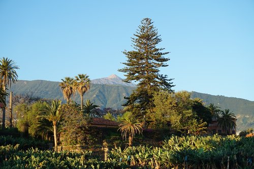 sunrise  landscape  mountain