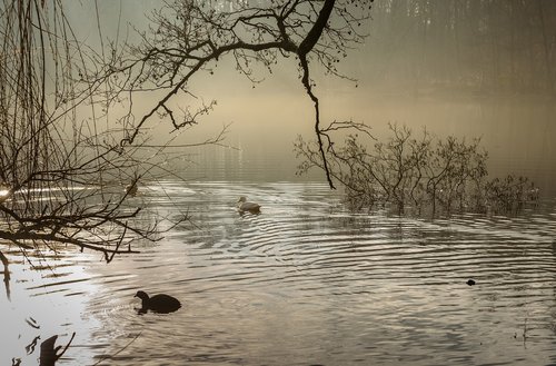 sunrise  lake  water