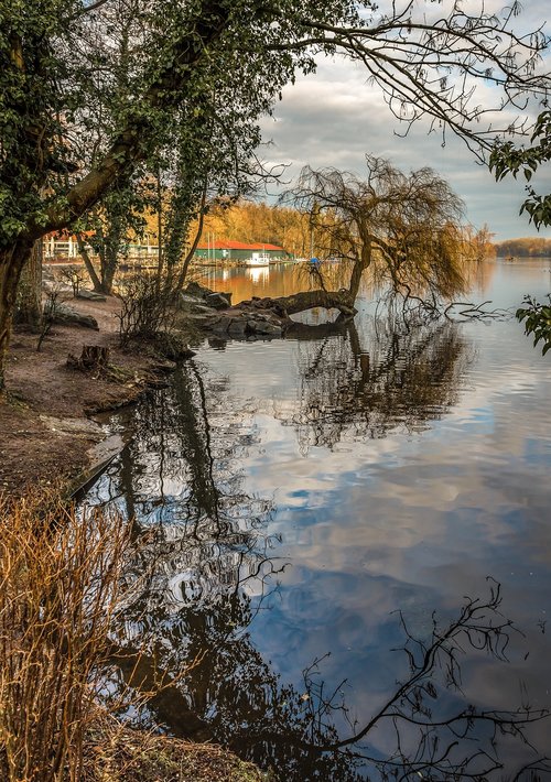 sunrise  lake  water