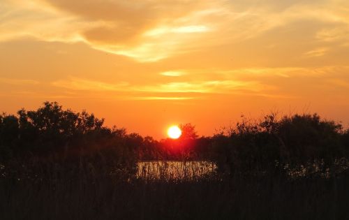 sunrise lake sun