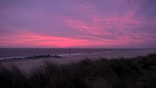 sunrise  pink  s