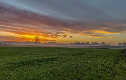 sunrise  autumn  green